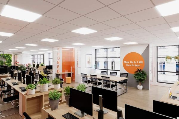 Corporate Office Interior design_Design Doctors Studio